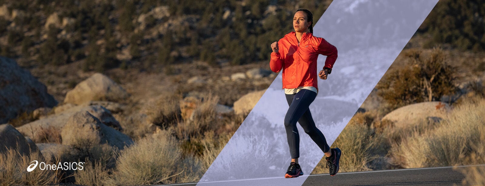Asic promotion top
