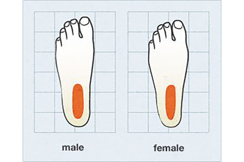 difference between men's shoes and womens