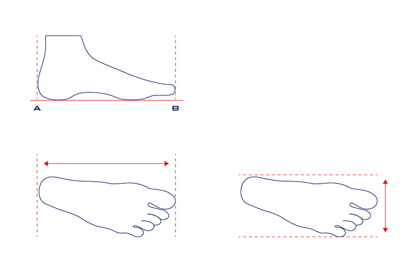 Shoe Size Conversion Charts and Foot 