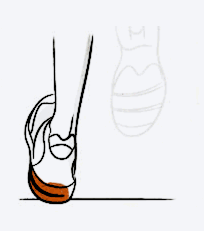 Animation highlighting a foot striking the ground with an inward rolling motion